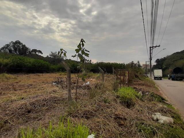 #4 - Área para Venda em Cotia - SP - 3