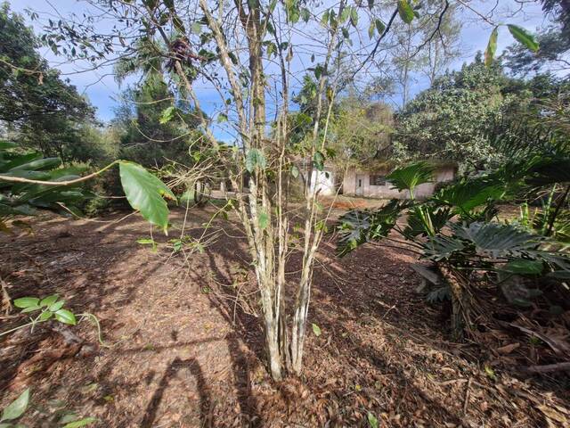 #13 - Área para Venda em São Paulo - SP - 3
